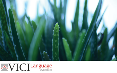 Can a small aloe vera farm profit from overcoming language barriers?